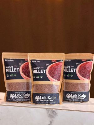 Lok Kalp Finger Millet Grain