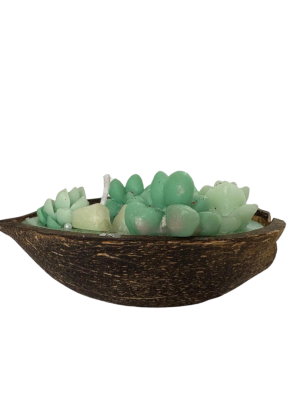 Coconut Shell Candle