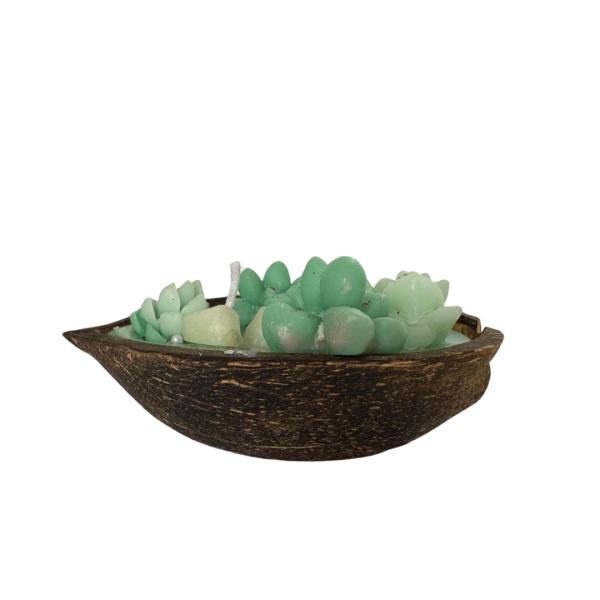 Coconut Shell Candle