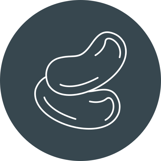 Cashew Nuts
