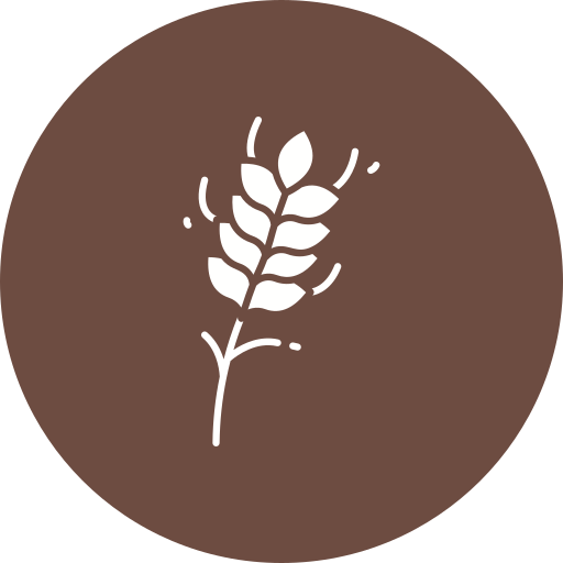 Brown Rice